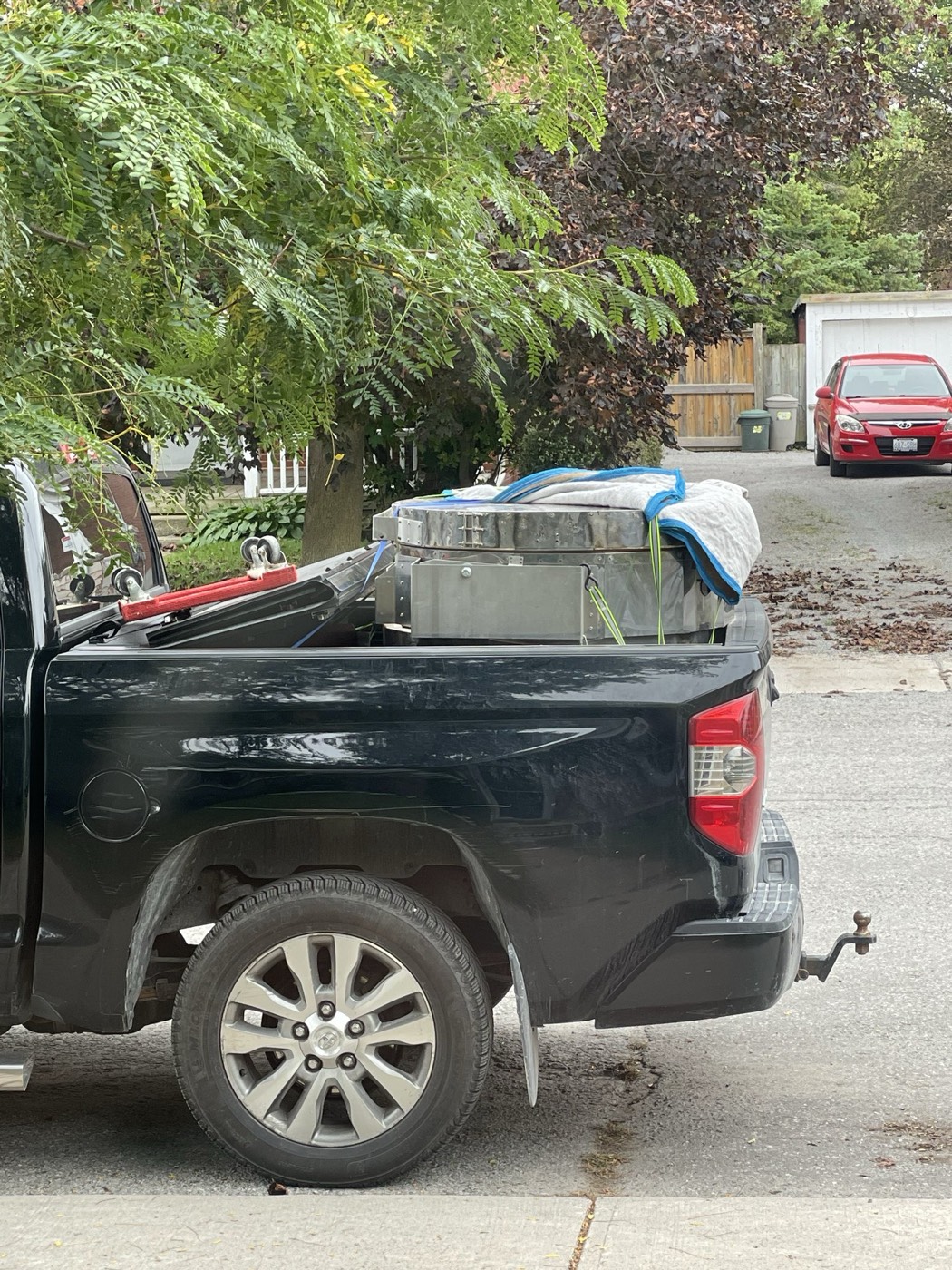 Dorothy strapped into the bed of a pickup truck on arrival day